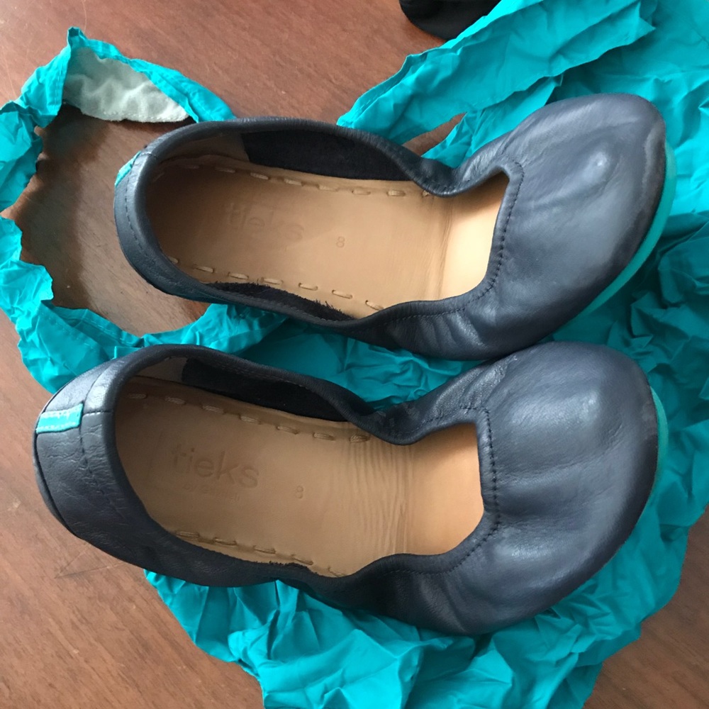 Tieks - navy and tote